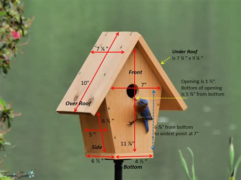 Bird House Dimensions Chart