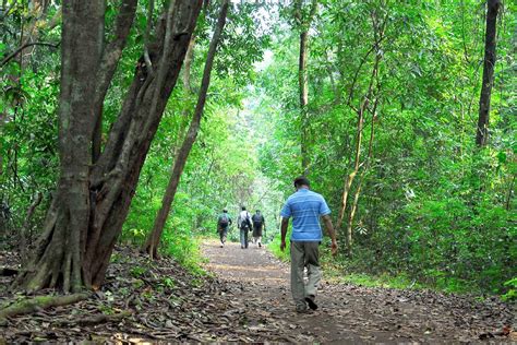 VISWANATH S: WATERFALLS - UTTARA KANNADA DISTRICT - SIRSI