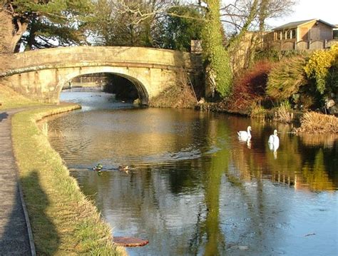 walk along lancaster canal : Grows on You