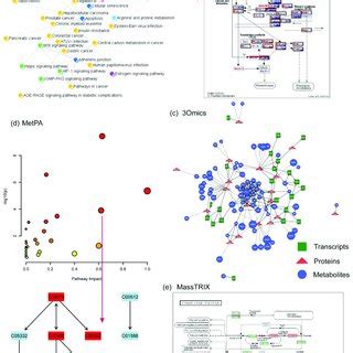 (PDF) Guide to Metabolomics Analysis: A Bioinformatics Workflow