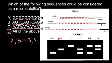 What is Microsatellite? - YouTube