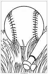 21 Dibujos De Béisbol Para Colorear PDF Y PNG Gratis sketch template