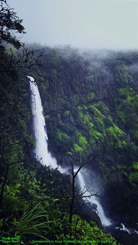 Indian Roadie: Vajrai Waterfall in Kaas Plateau, Maharashtra, India