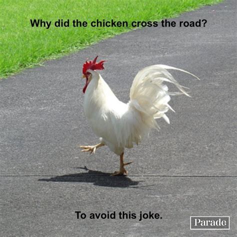 35 Funniest "Why Did the Chicken Cross the Road?" Jokes - Parade