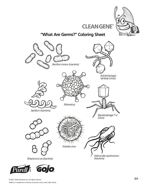 Germs Worksheets for Kindergarten K 5 Hand Hygiene Lesson Plans and Worksheets | Hygiene lessons ...