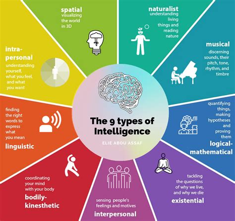 The 9 Types of Intelligence. The 9 Types of Intelligence | by Elie Abou ...