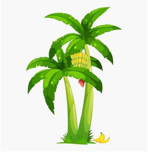 Transparent Banana Tree Clipart Png - canvas-cafe