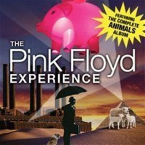 The Pink Floyd Experience Tour Announcements 2024 & 2025, Notifications ...