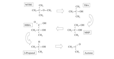 MTBE Contamination in Ground Water: Sources and Behavior