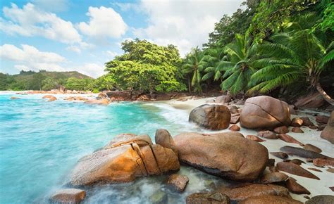 landscape, sea, rock, nature, photography, beach, coast, palm trees ...