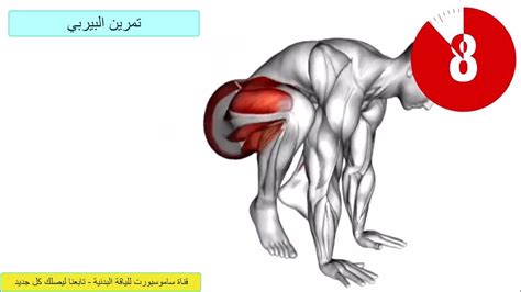 تمارين تدريب عضلات البطن الستة والساقين والتخلص نهائيا من الكرش - YouTube