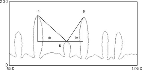 Region of the dendrite containing different branches in competition ...