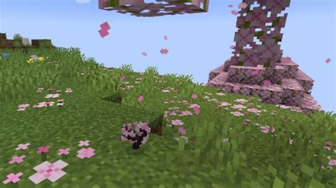 How to Grow Cherry Blossoms in Minecraft | DiamondLobby