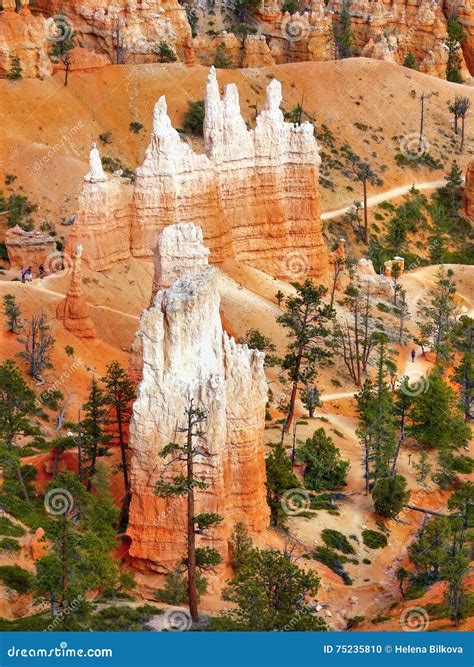 Hoodoos Rocks Closeup Sunrise Bryce Canyon Stock Photo - Image of ...