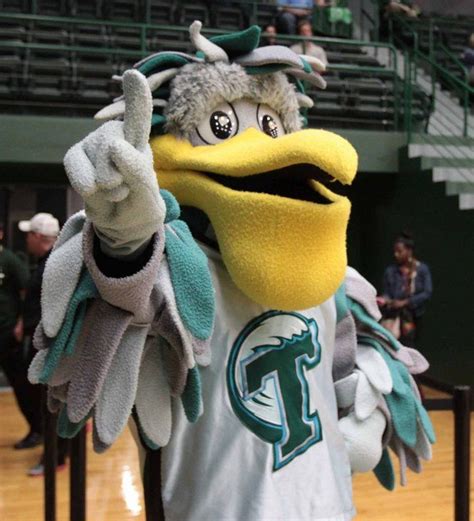 Riptide, Tulane Green Wave mascot. Charlie Brown, Live Mascot, Sports Advertising, Super Heroine ...