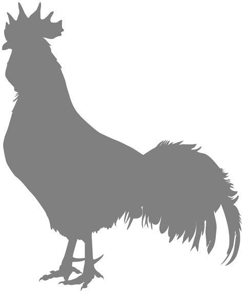 Cockerel Silhouette | Free vector silhouettes