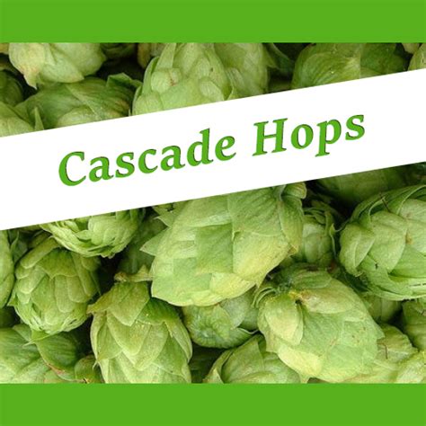 | Cascade Hops | Homebrew Supplies in Gresham