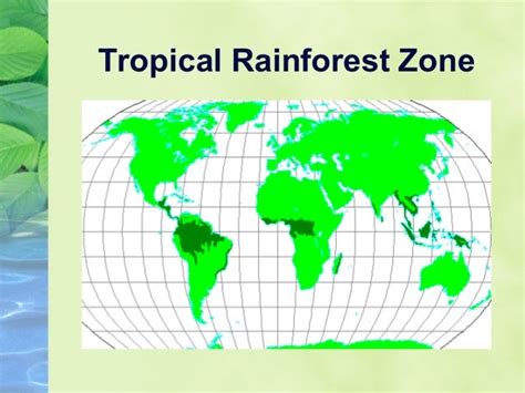 2-3 Climate Zones & Vegetation