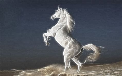 Latest Fashion Trends: white stallion horse ipad hd wallpaper