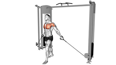 8 Cable Trap Exercises To Sculpt Strong And Defined Traps - Workout Guru