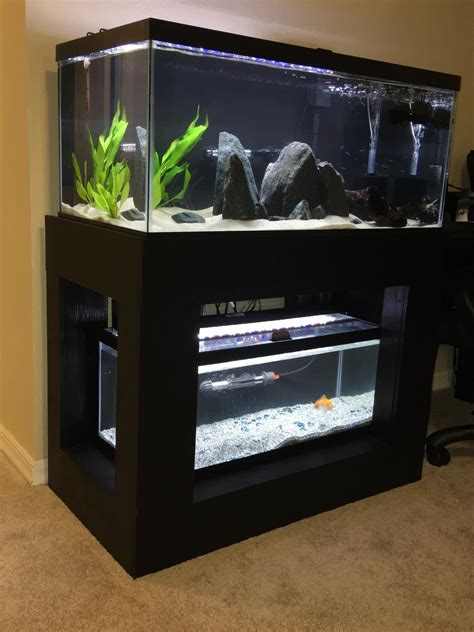 My setup. 40 gal Breeder up top with ten Cardinal Tetra and two shrimp and 20 gal Long on the ...