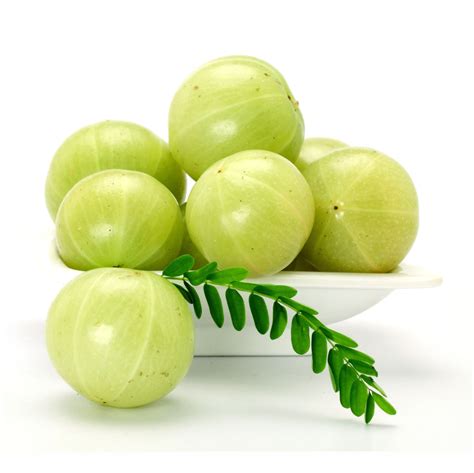 Amla Fruit Powder Emblica officinalis | Bixa Botanical International