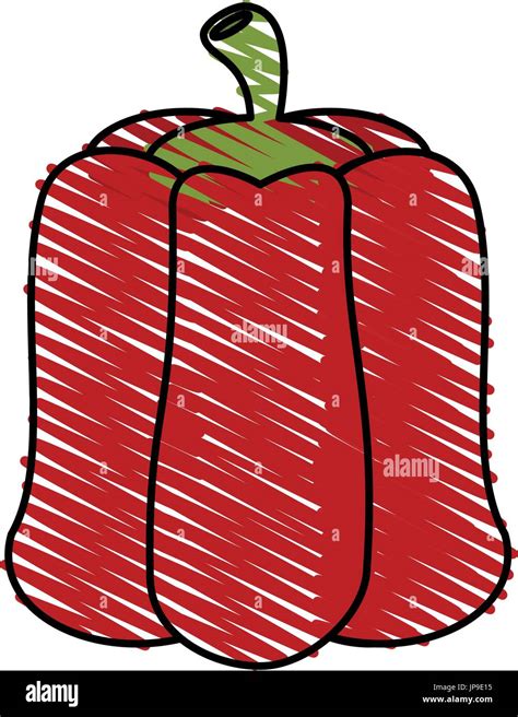 pepper vector illustration Stock Vector Image & Art - Alamy