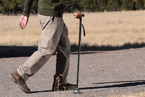 The Proper Way To Walk With A Cane - top hiking trails