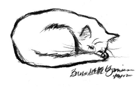 Cat Sleeping Sketch at PaintingValley.com | Explore collection of Cat Sleeping Sketch