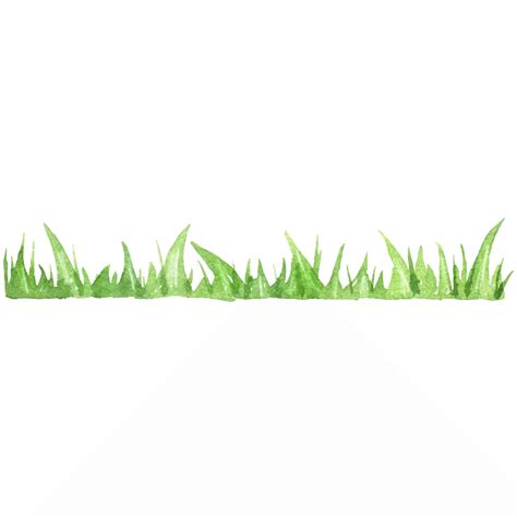 Premium Vector | Watercolor green grass