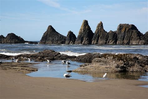 Ragam Nya Kabar: Seal Rock is a beautiful, fascinating beach on the central Oregon coast ...