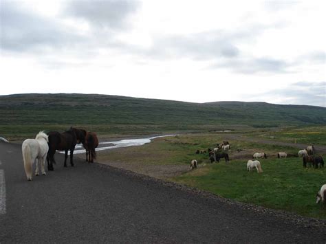 Other Westfjords Waterfalls - World of Waterfalls