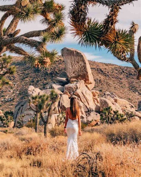 One day in Joshua Tree National Park - Voyagefox