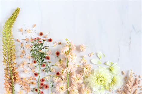 Spring Aesthetic Desktop Wallpapers - Top Free Spring Aesthetic Desktop Backgrounds ...
