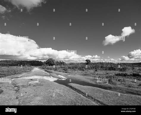 Black and white hampshire landscape hi-res stock photography and images ...
