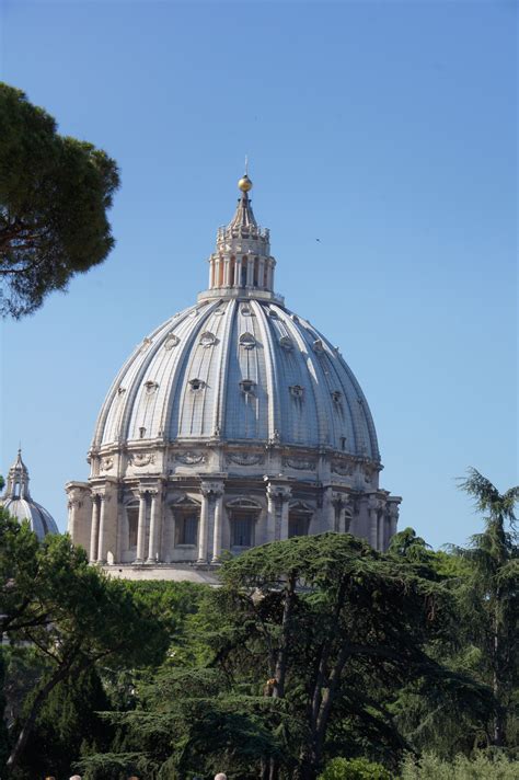 St. Peter's Dome from the Vatican Gardens (photo by Peggy Mooney) | Best cities in europe ...