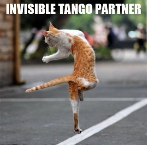 Invisible Tango Partner - Meme Guy