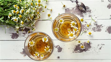 Chamomile Tea Recipes: 13 Ways To Enjoy Chamomile