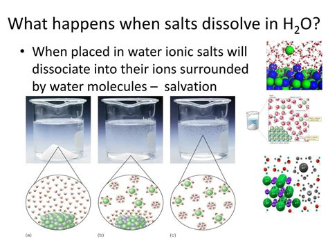 Diagram Of Salt Dissolving In Water