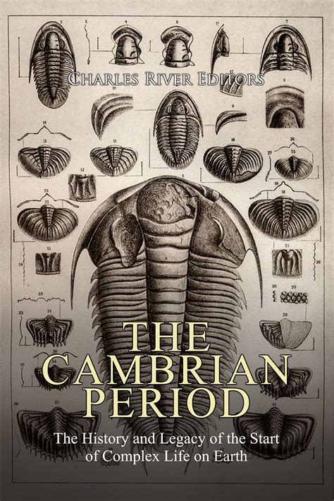 Cambrian Period Plants