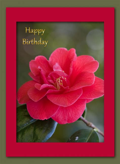 The Best Free Birthday Cards Online No Membership - Home, Family, Style and Art Ideas