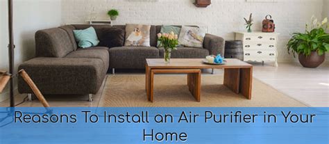 Why Should You Install an Air Purifier in Your Home? - Women Daily Magazine