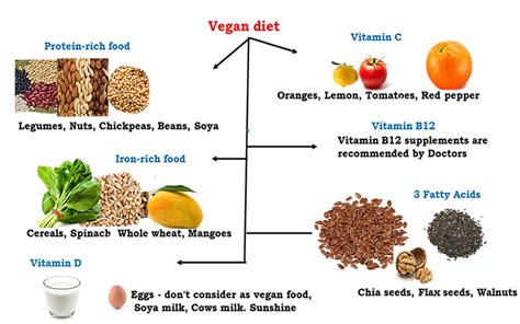 Vitamin B12 Supplement Dosage For Vegans : Vitamin B12 Deficiency In Meat Eaters Vegetarians ...