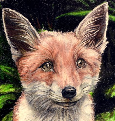 Little Basil | Lindsay's fox cub. Drawing done from a friend… | Flickr