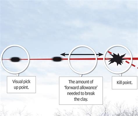 Clayshooting tips for beginners - Shooting UK