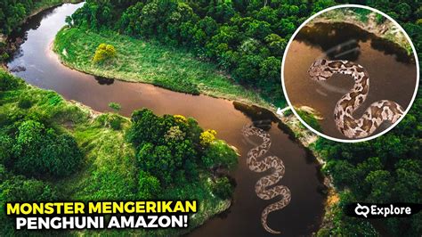 TERUNGKAP! Misteri Mengapa Hutan Amazon Menciptakan Monster Predator ...