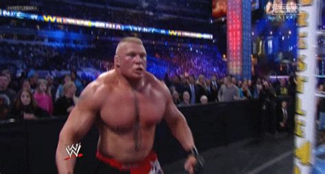 Wwe GIFs on Giphy