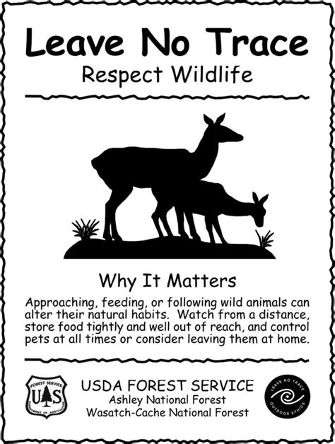 Download Poster on wildlife preservation and protection – 2019 Printable calendar posters images ...