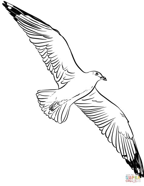 Seagull is flying high coloring page | Free Printable Coloring Pages