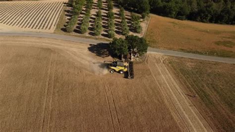 Wheat Harvesting with Tractor in Agriculture Farm Field, Stock Footage